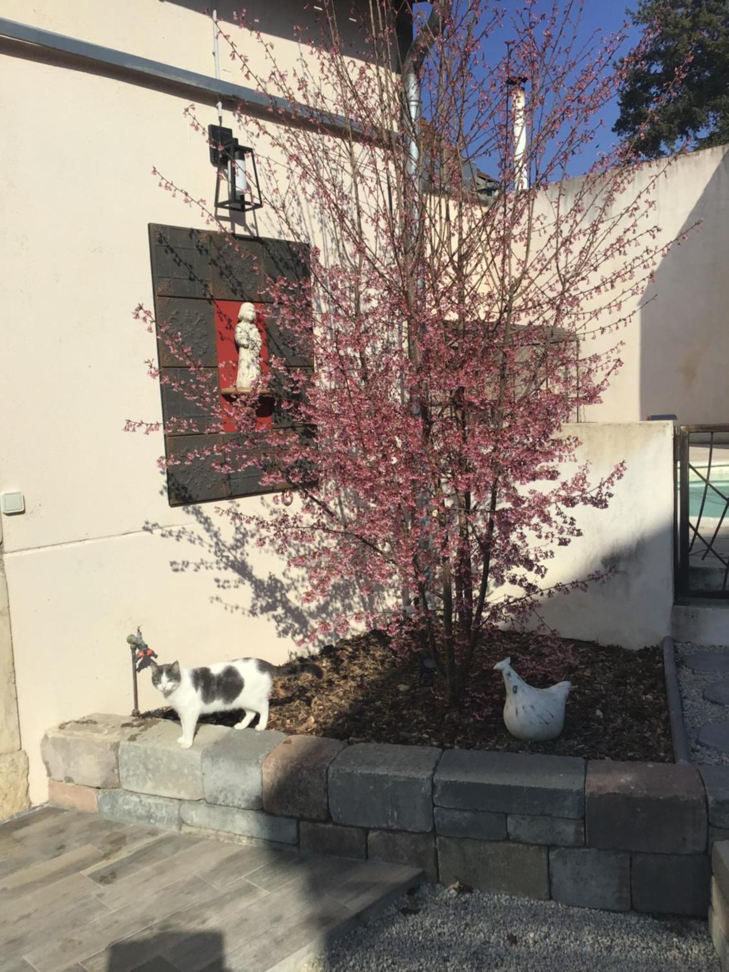 Ma Maison Beaune  Esterno foto